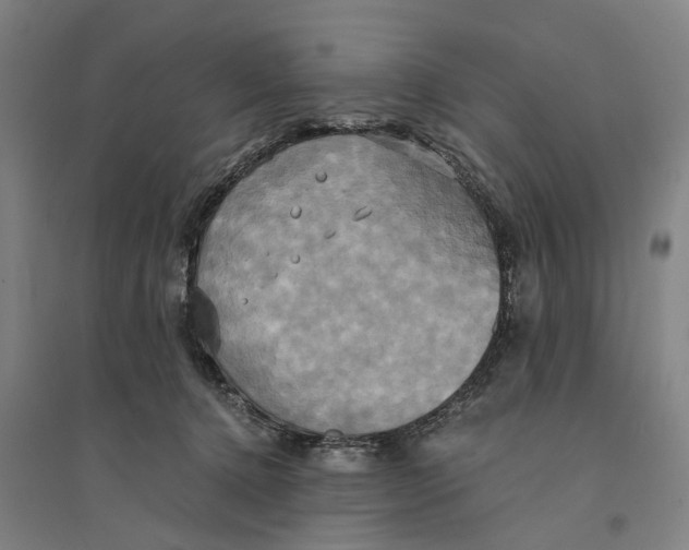 X0000094370368200711301454