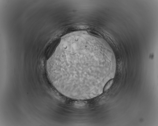 X0000094370373200711301454