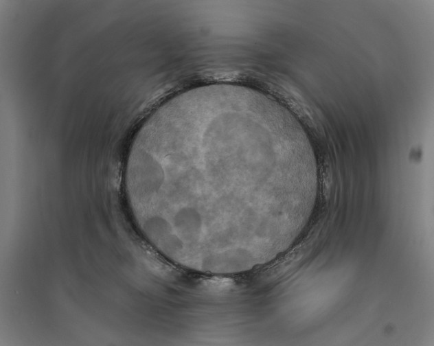 X0000094370374200711301454