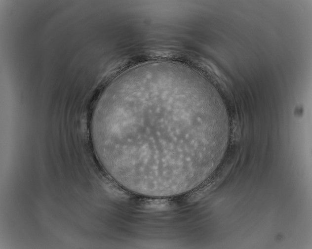 X0000094370377200711301454