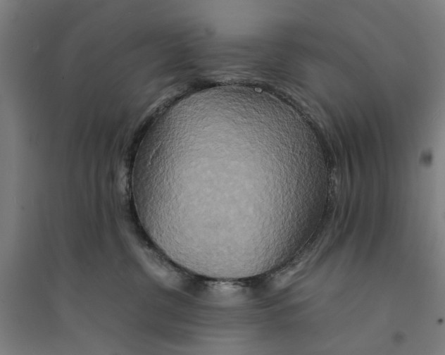 X0000094370380200711301454