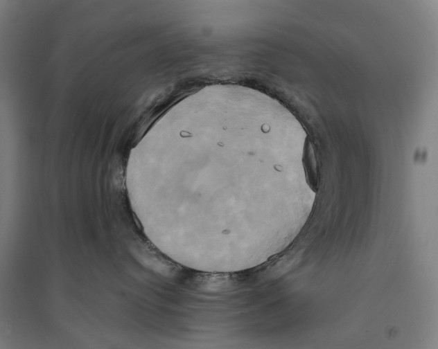 X0000094370384200711301454