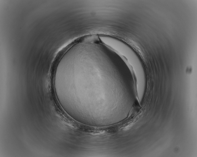 X0000094370388200711301453