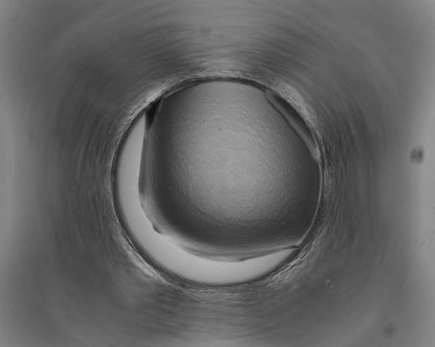 X0000094370389200711301453