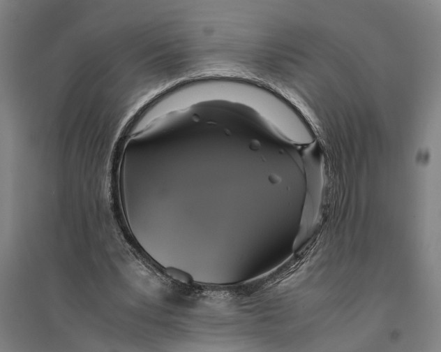 X0000094370391200711301453