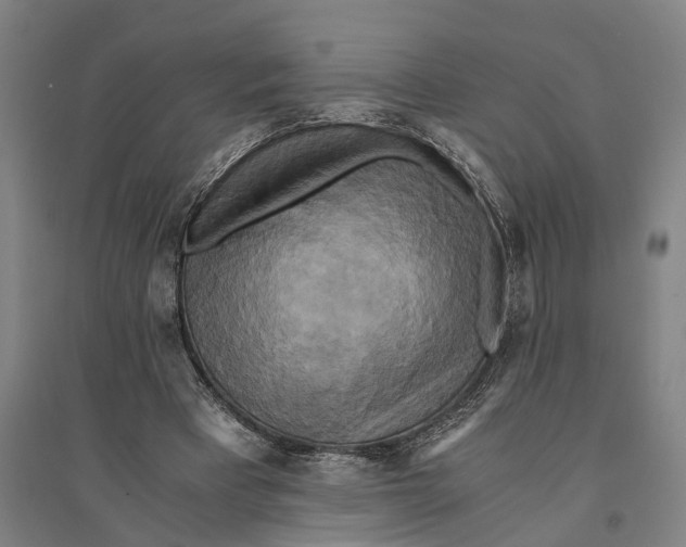 X0000094370393200711301453