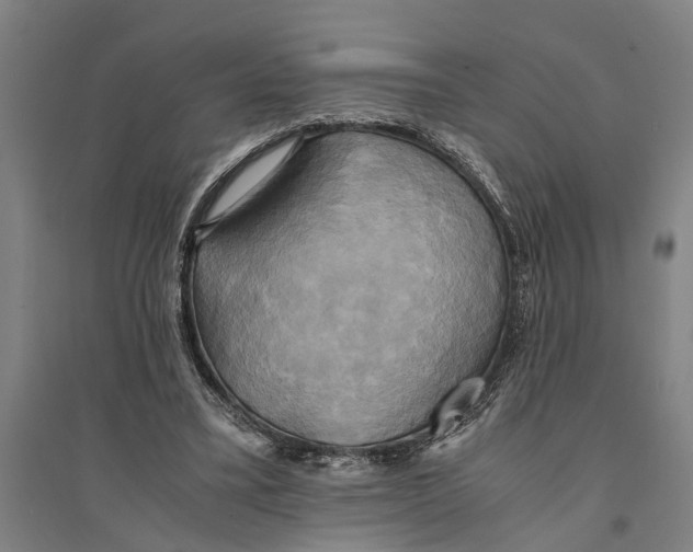 X0000094370395200711301453