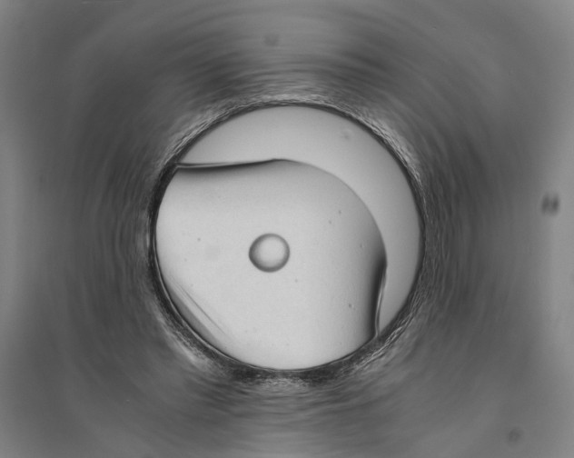 X0000094370397200711301453