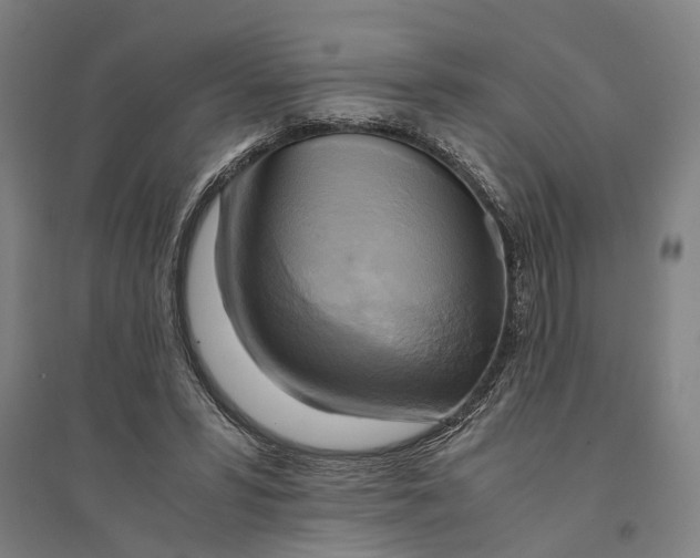 X0000094370399200711301453