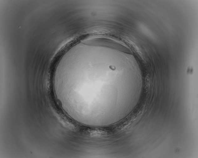 X0000094370400200711301453