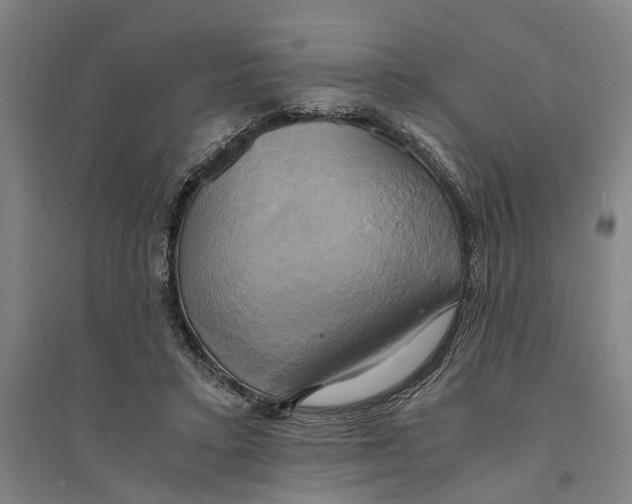 X0000094370403200711301453