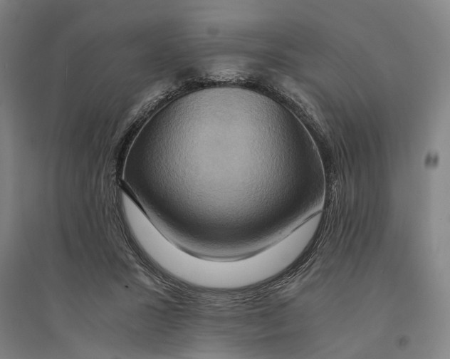 X0000094370407200711301453