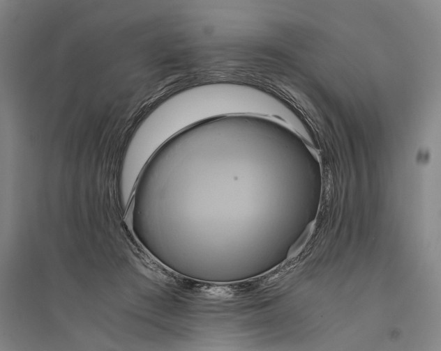 X0000094370409200711301453