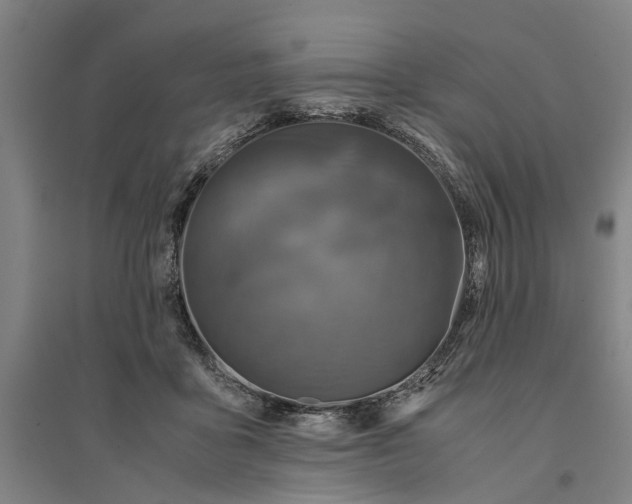 X0000094370411200711301453