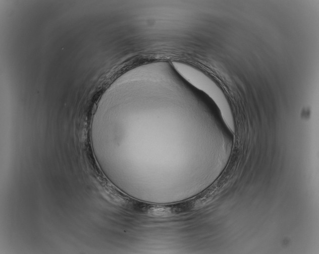 X0000094370413200711301453