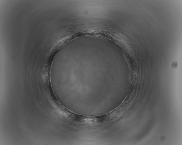 X0000094370415200711301453