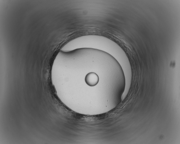 X0000094370417200711301453