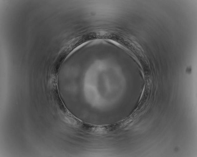 X0000094370419200711301453