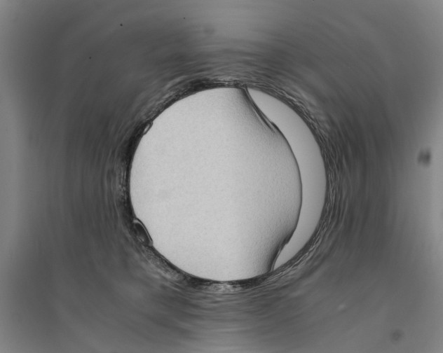 X0000094370421200711301453