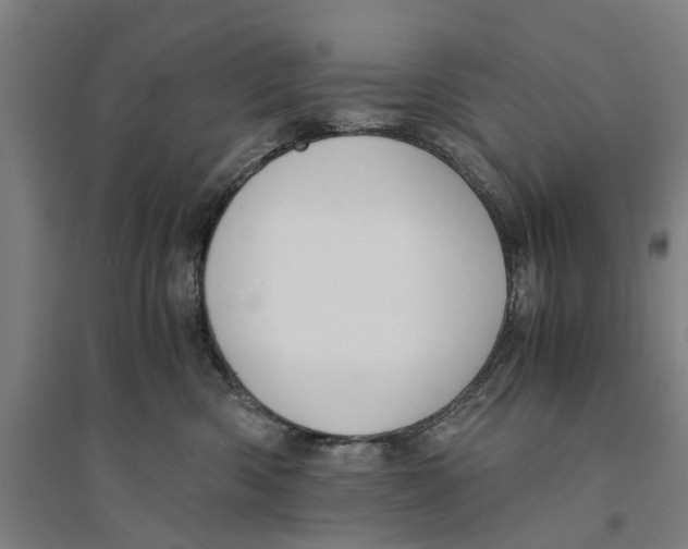 X0000094370426200711301453