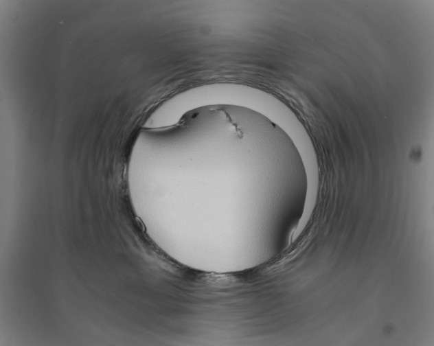 X0000094370429200711301453