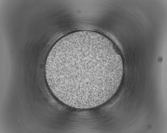 X0000094370433200711301452