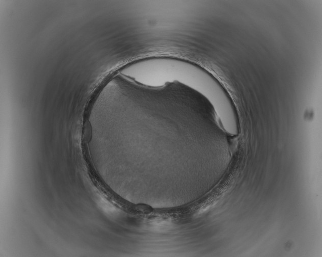 X0000094370434200711301452