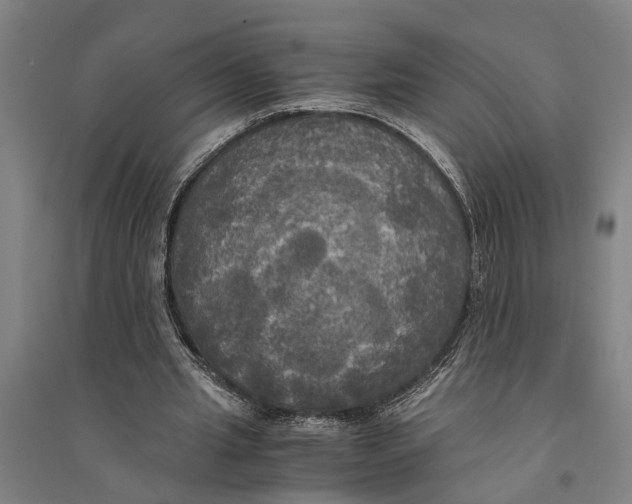 X0000094370437200711301452