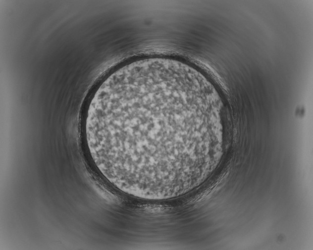 X0000094370439200711301452