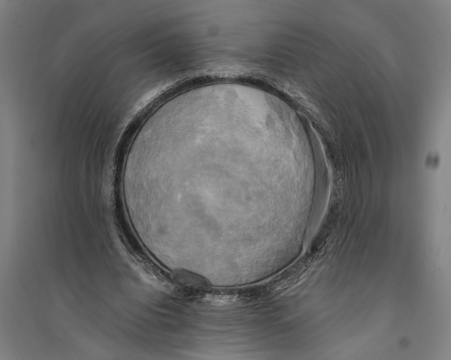 X0000094370440200711301452