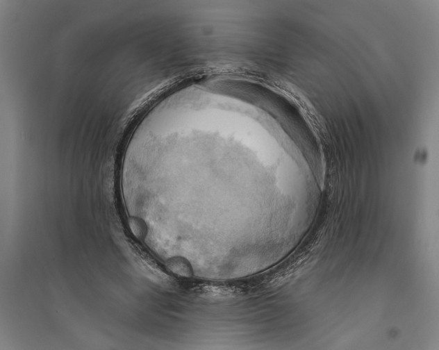 X0000094370442200711301452