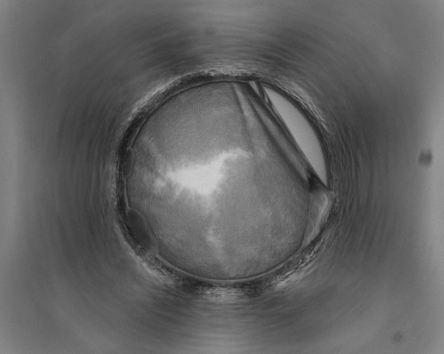 X0000094370444200711301452