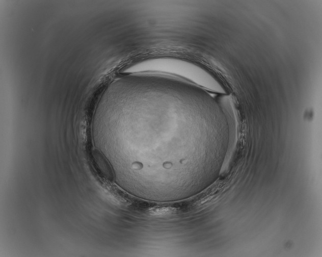 X0000094370452200711301452