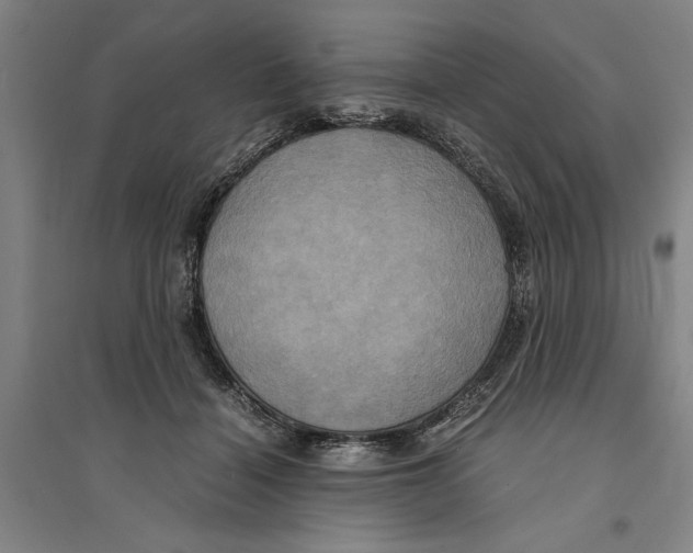 X0000094370460200711301452