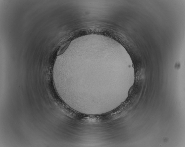 X0000094370464200711301452