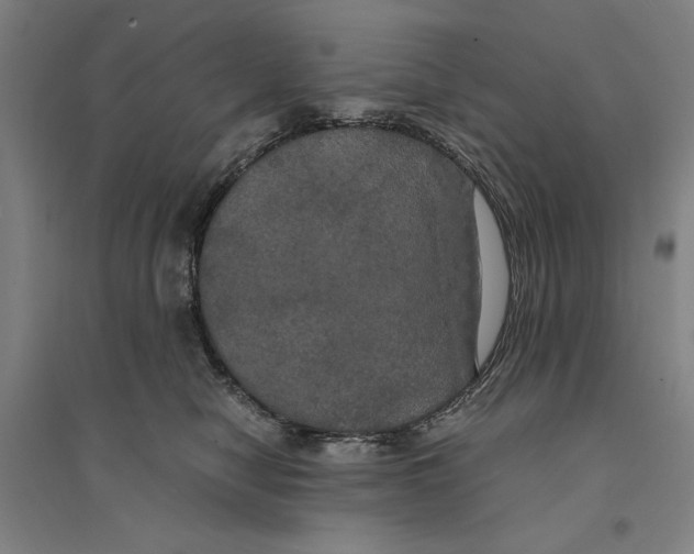 X0000094370470200711301452