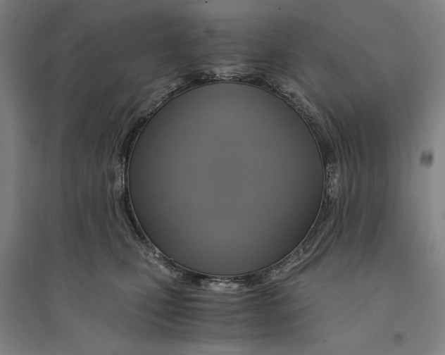 X0000094370471200711301452