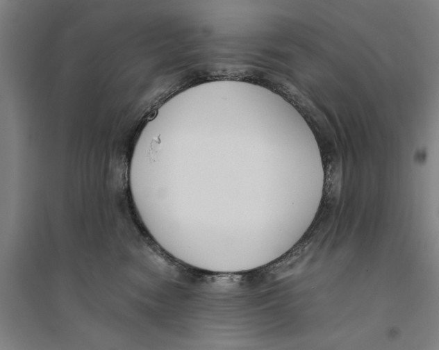 X0000094370474200711301453