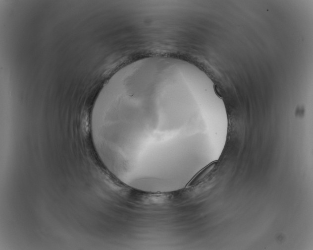 X0000094370479200711301453