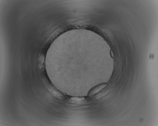 X0000094370480200711301453