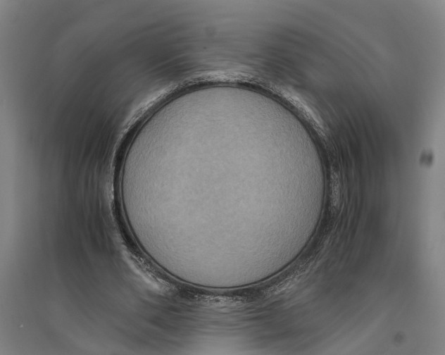 X0000094370486200711301452