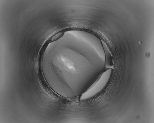 X0000094370488200711301452