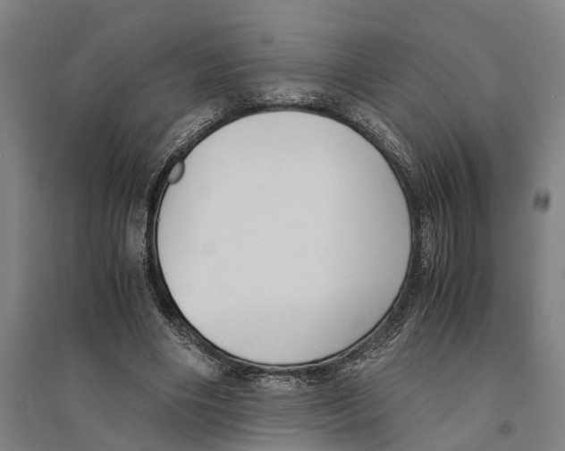 X0000094370490200711301452