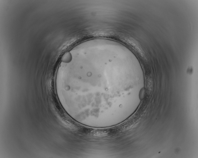 X0000094370491200711301452