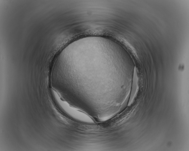 X0000094370493200711301452