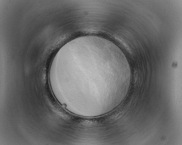 X0000094370494200711301452