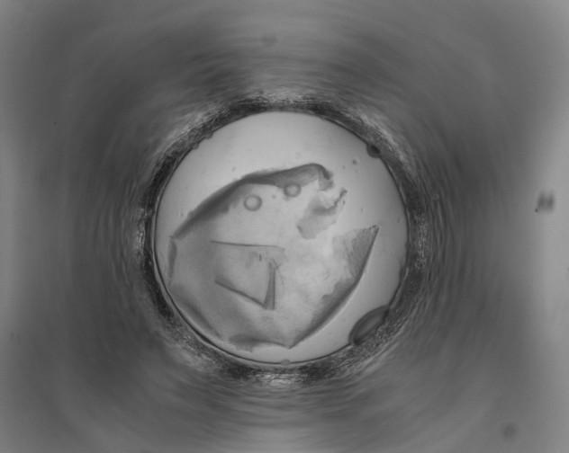 X0000094370495200711301452