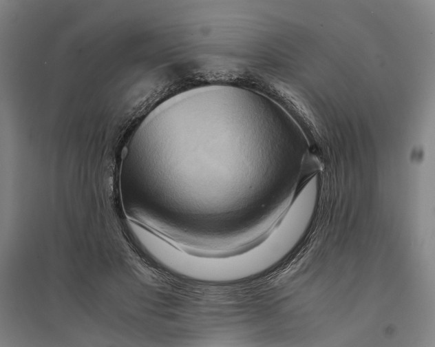 X0000094370501200711301452