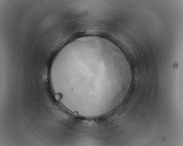 X0000094370502200711301451