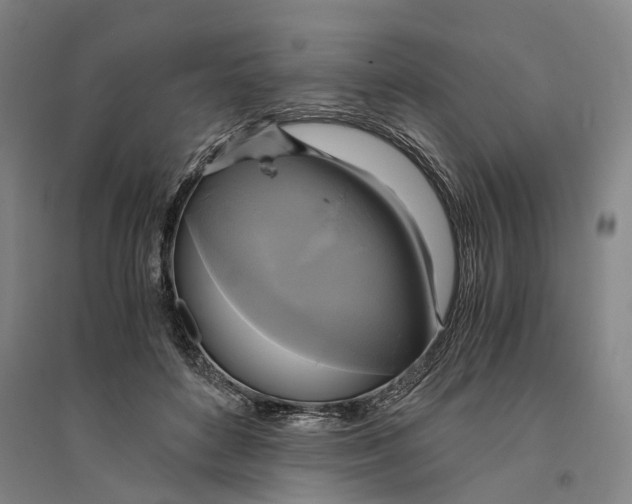 X0000094370504200711301451